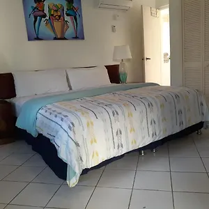 Zander's Paradise @mystic Apartment Ocho Rios