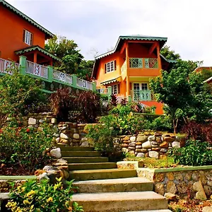 Pimento Lodge Port Antonio